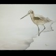 Check out our newest Works on Canvas! Check out our newest Works on Canvas!